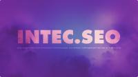 «INTEC. SEO - модуль поисковой оптимизации: seo - фильтр, генерация сео - текстов, H1, мета-тегов» от разработчика ««INTEC» интернет-агентство»